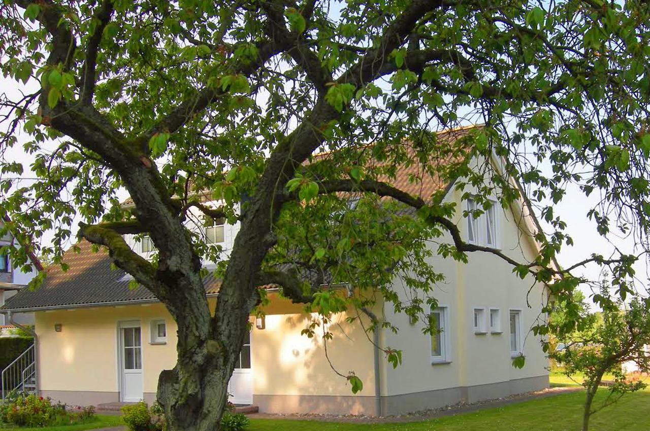 Appartamento Sonnenhus - Ruegen Sellin  Esterno foto
