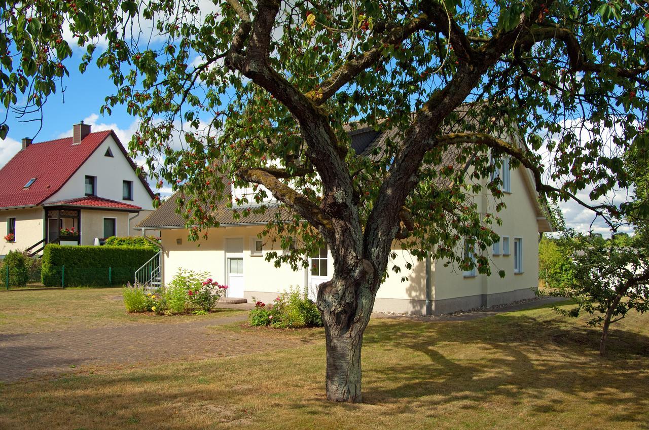 Appartamento Sonnenhus - Ruegen Sellin  Esterno foto